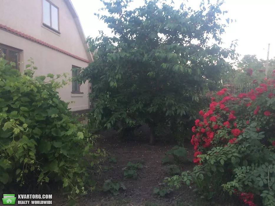 Sell house. Житомир, Миру — photo 5