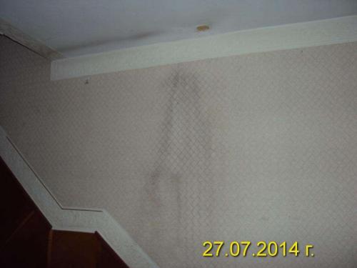 Sell house. Николаев, Волгоградская — photo 6