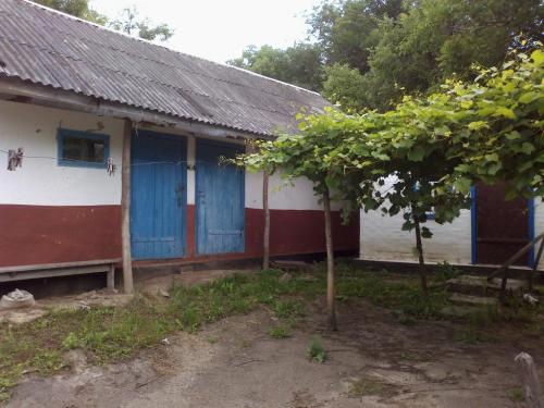 Sell house. Черкассы, Лесная — photo 3