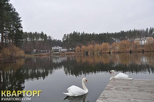 Sell house. Киев, Победы пр — photo 5