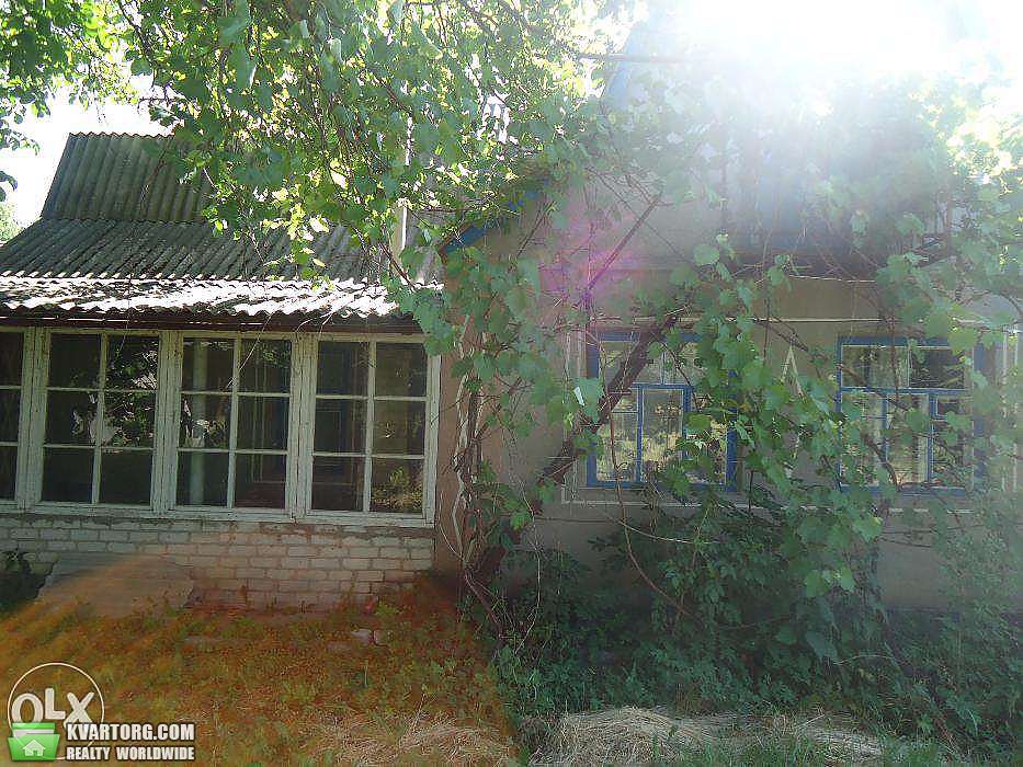 Sell house. Киевская обл., Школьная — photo 5