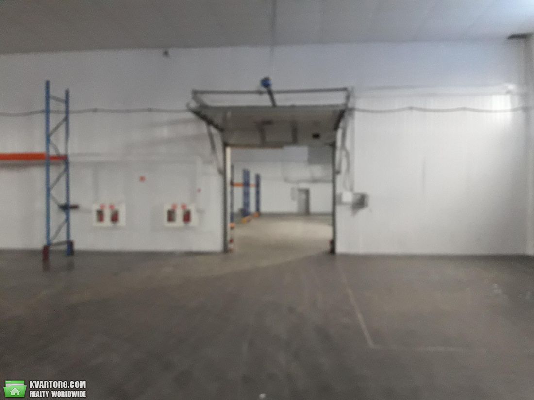 Rent out warehouse. Вышгород, киевская — photo 2