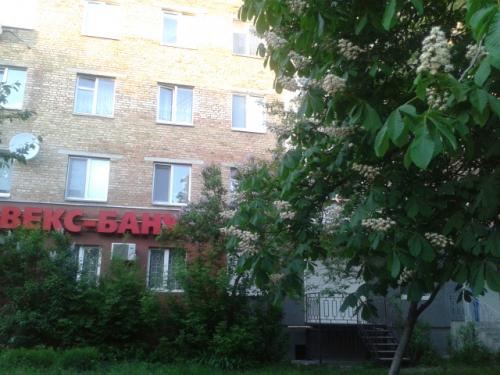 Rent out office. Киевская обл., Гагарина Юрия просп. — photo 1