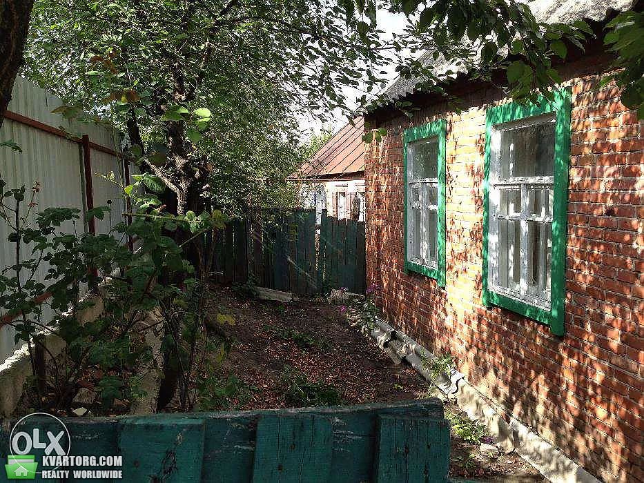 Sell house. Сумская обл., Октябрьская — photo 3