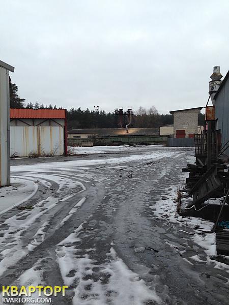 Sell warehouse. АР Крым, Калиновка — photo 5