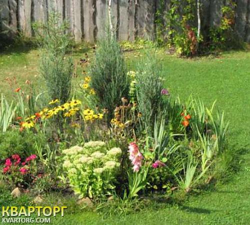 Rent out house. Киевская обл., Рудыки — photo 2