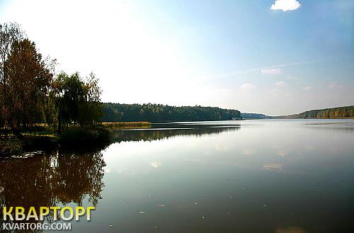 Sell house. Киевская обл., рыльского — photo 7