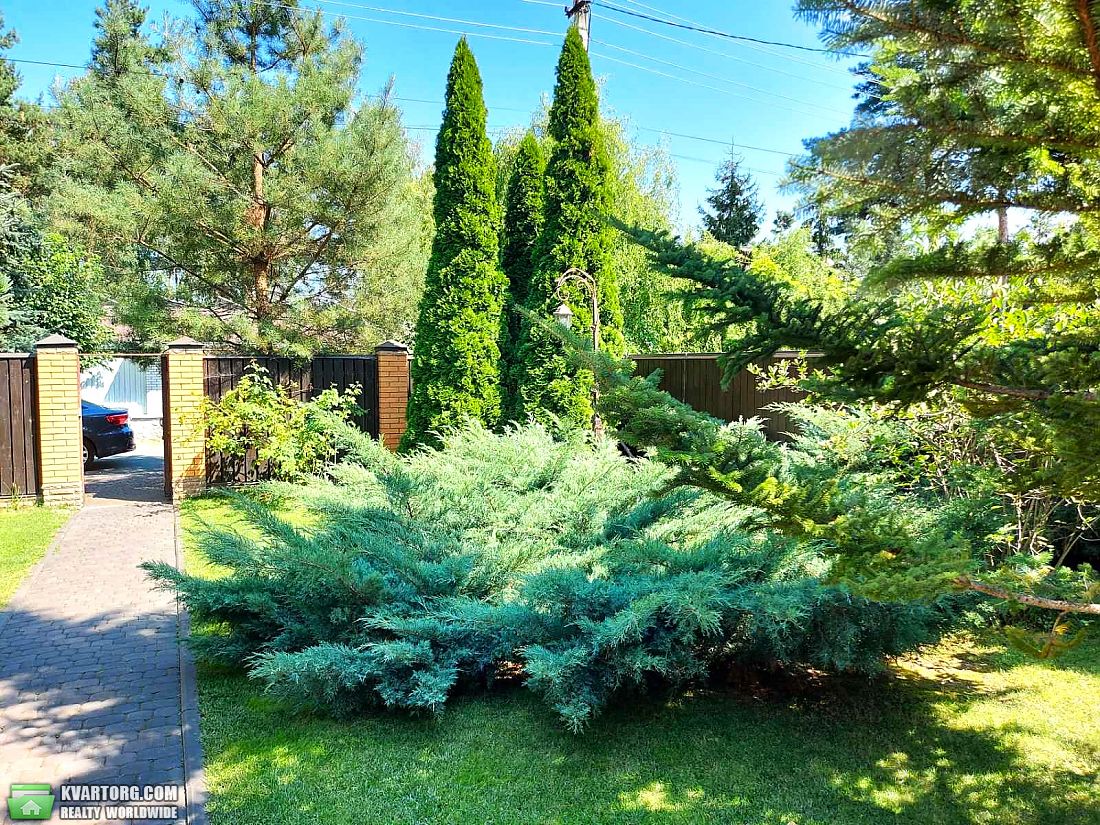 Sell house. Козин,  Старокиевская — photo 5