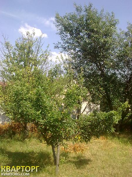 Sell house. Киевская обл., Деремезна — photo 6