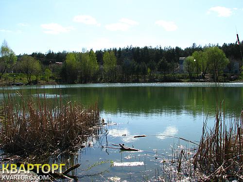 Sell house. Киевская обл., Власовка — photo 4