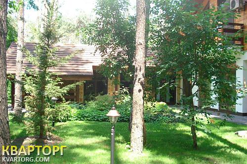 Sell house. Киевская обл., Плюты — photo 5