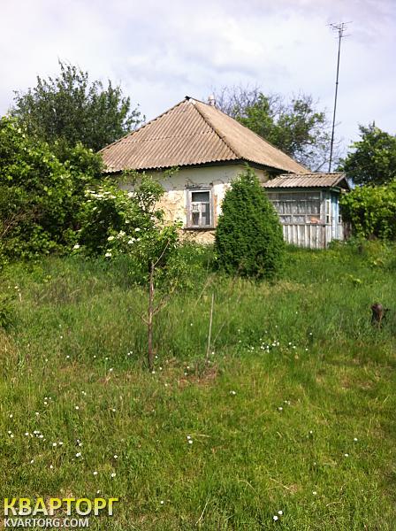 Sell house. Киевская обл., Новосельский — photo 1