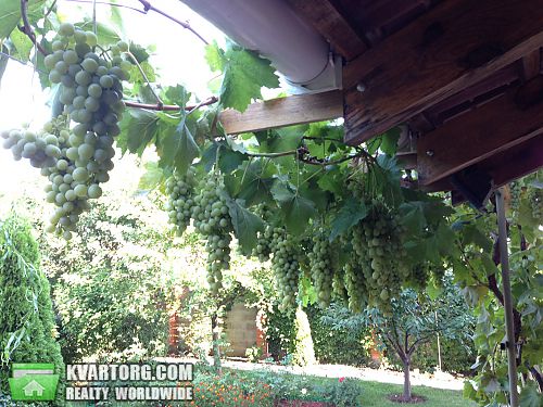 Sell house. Одесса, Овидиопольская — photo 8