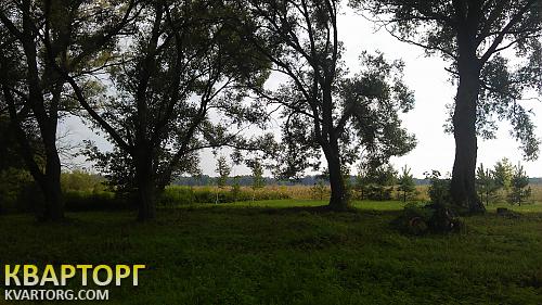 Sell house. Чернигов, Партизанская — photo 3