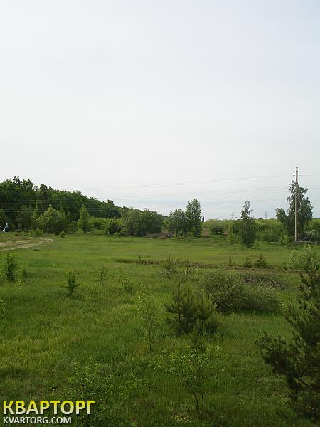 Sell house. Киевская обл., Гореничи — photo 6