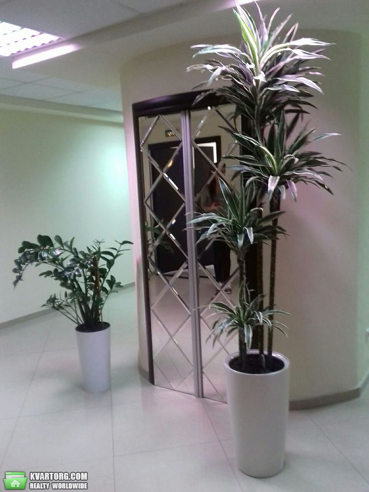 Rent out office. Киев, Дегтяревская — photo 10