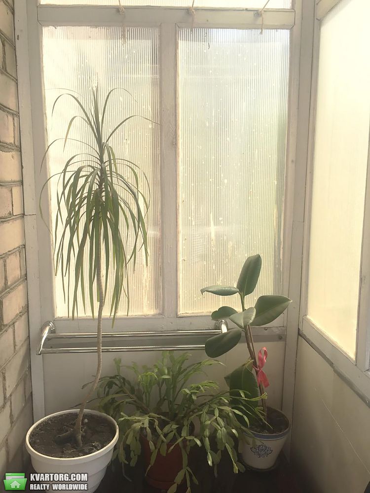 Rent out 1-room apartment. Днепропетровск, Чичерина — photo 2