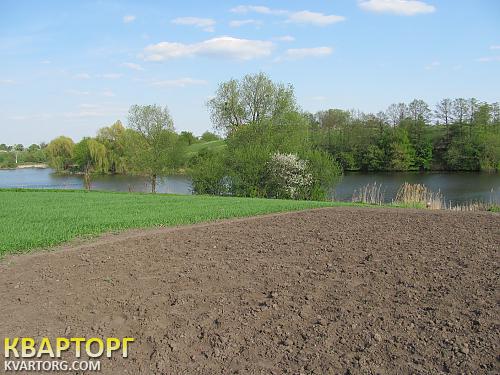 Sell house. Киевская обл., Яблонивка — photo 5