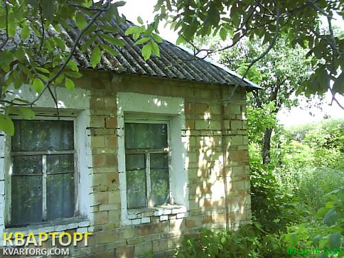 Sell house. Киевская обл., Довгыча — photo 7