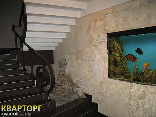 Rent out office. Киев,  Введенская — photo 3