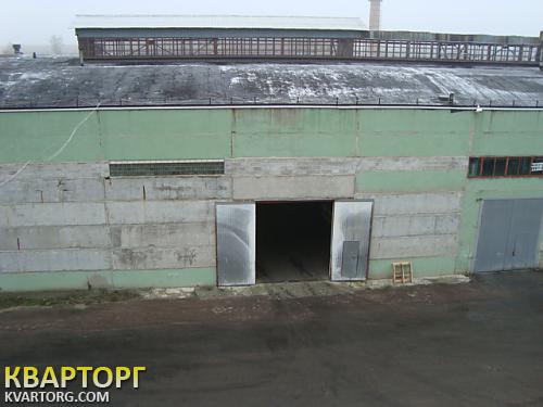 Rent out warehouse. Киевская обл., Игорева — photo 2