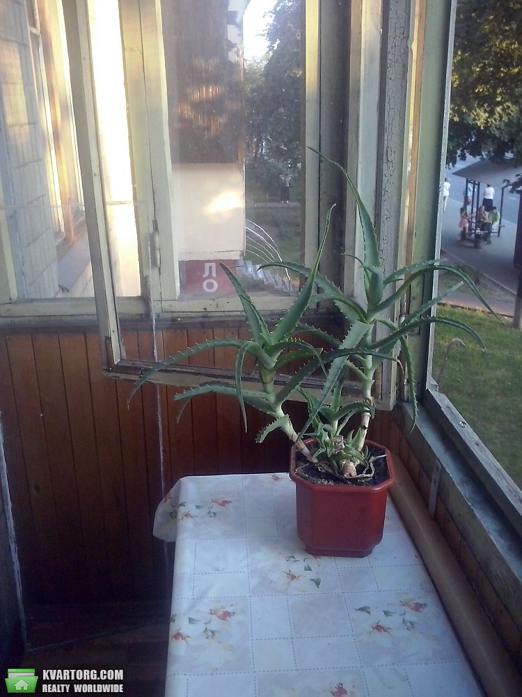 Sell 3-room apartment. Киев, Перова — photo 1