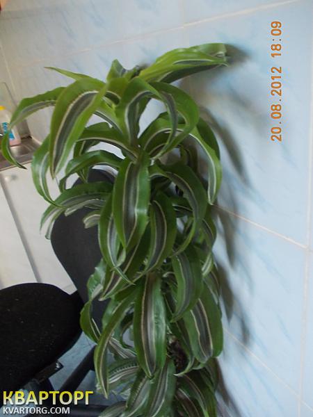 Sell 2-room apartment. Одесса,  Заболотного — photo 3