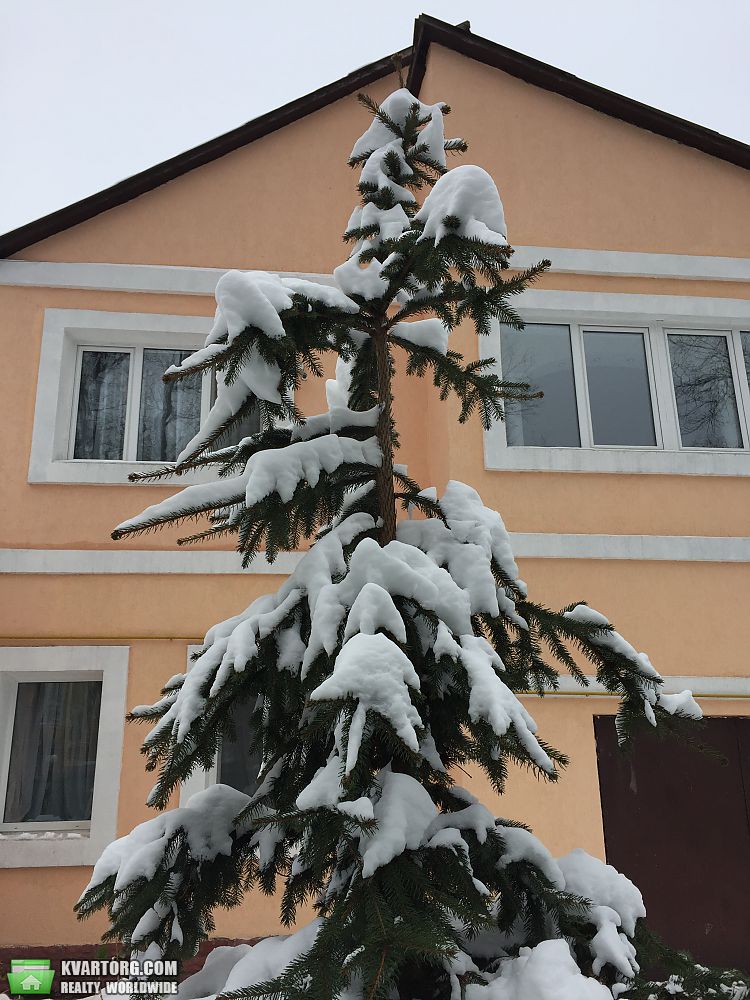Sell house. Киевская обл., переулок Революции — photo 1