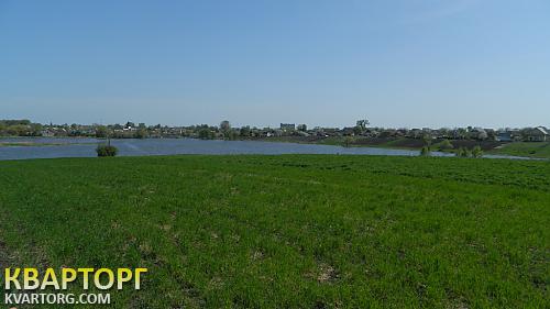 Sell house. Киевская обл., с.Гребёнки — photo 10