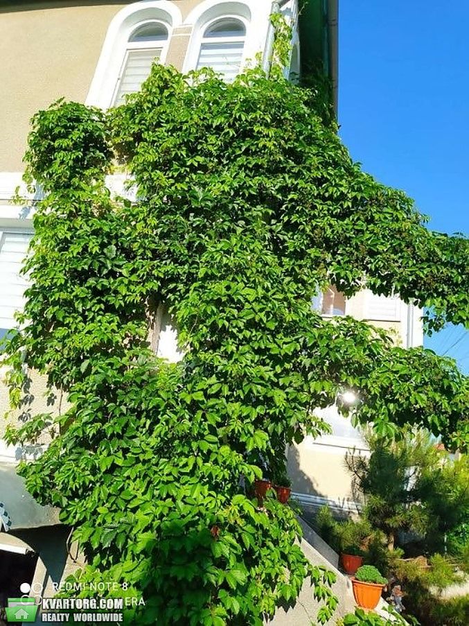 Sell house. Одесса, Восход — photo 4