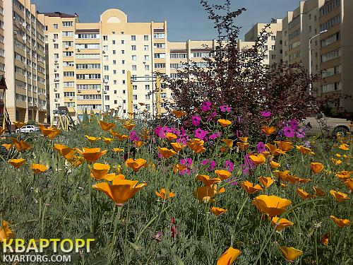 Sell office. Киев, Чабаны — photo 2