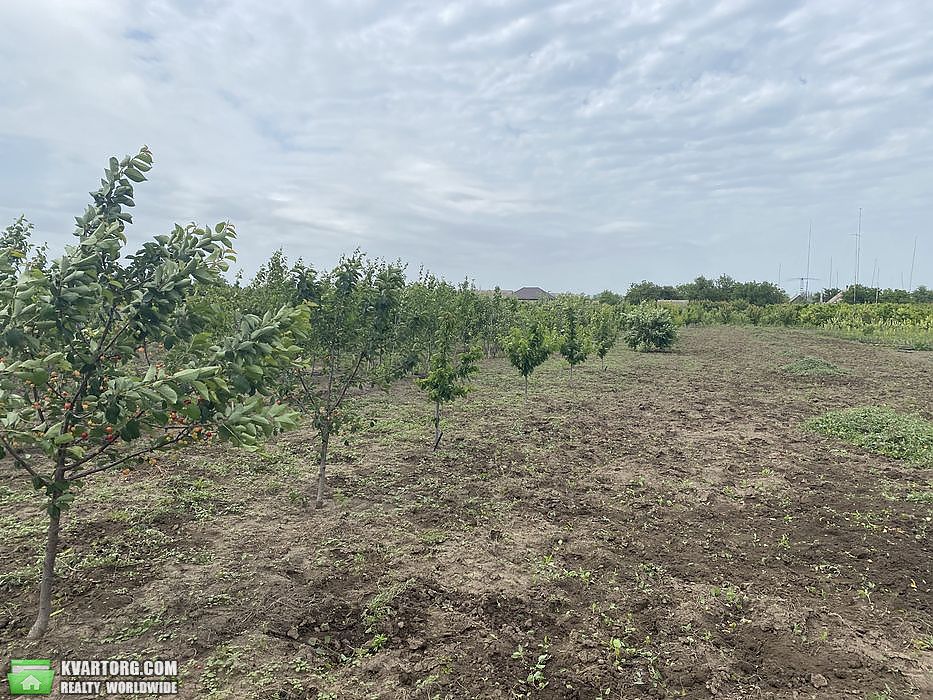 Sell house. Запорожье, польова — photo 8