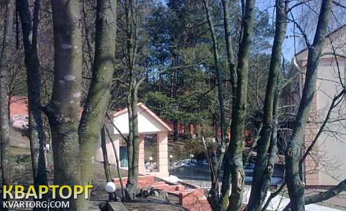 Rent out house. Киев, Пуща-Водица — photo 8