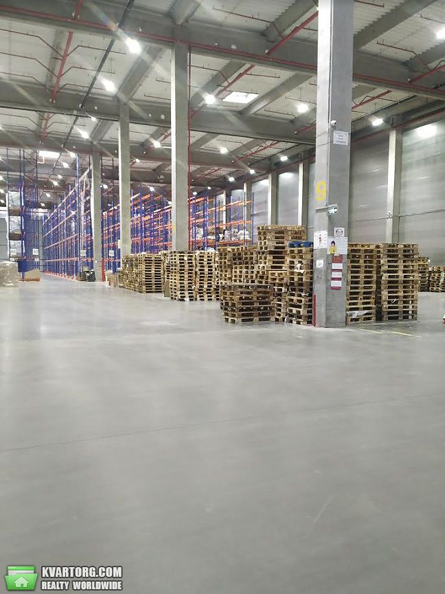 Rent out warehouse. Борисполь, Киевская — photo 2