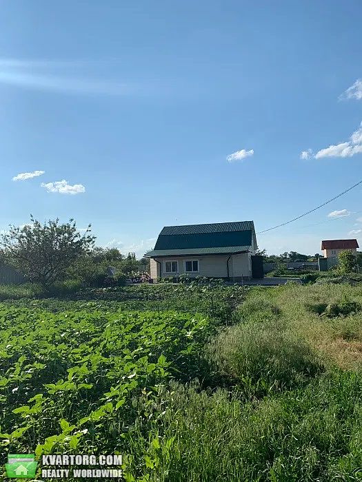 Sell house. Киевская обл., Шевченко — photo 9