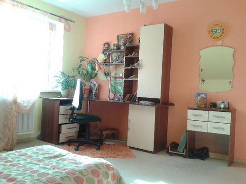 Rent out house. Днепропетровск, Рабочая — photo 5