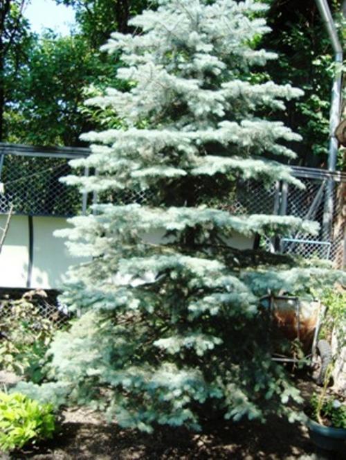 Sell house. Киев, Садовая — photo 6