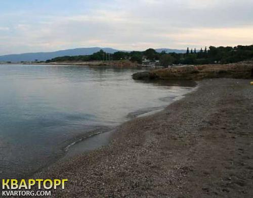 Sell house. Киев, Коринфия — photo 2
