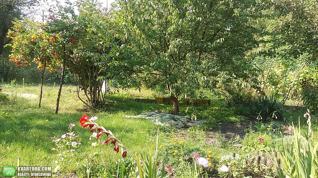 Sell house. Киев, 27 Садовая — photo 6