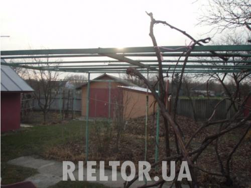Sell house. Чернигов, с.Крехаев — photo 6