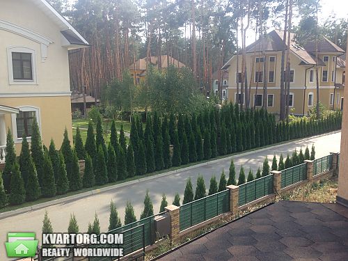 Sell house. Киевская обл., Плюты — photo 2