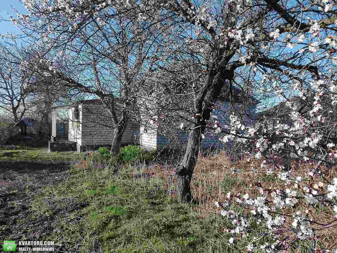 Sell house. Киевская обл., Ватутина — photo 1