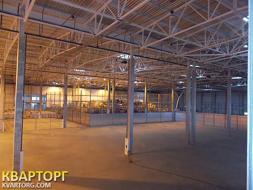 Rent out warehouse. Киевская обл., Софиевская — photo 5