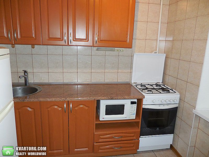 Rent out 1-room apartment. Киев, Кудри — photo 1