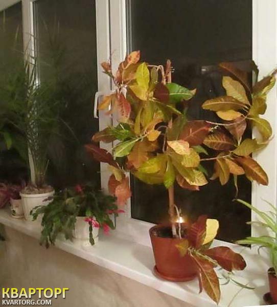Sell 3-room apartment. Киев, Академика Заболотного — photo 9
