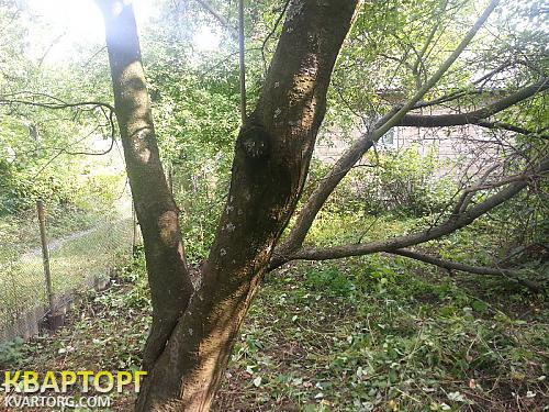 Sell house. Киев, Садовый коопер.Янтарь — photo 5