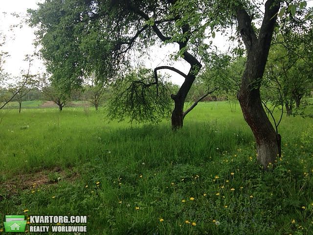 Sell house. Борисполь,  Луговая — photo 9