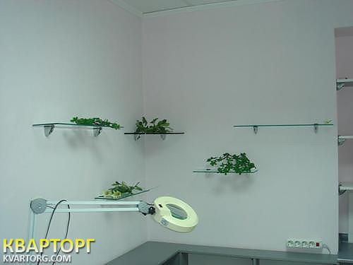 Rent out office. Киев,  Григоренко пр — photo 5
