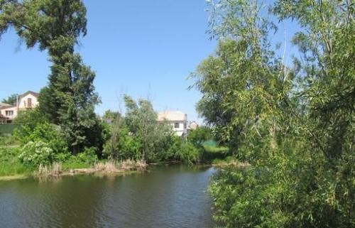 Sell house. Киевская обл., Козин — photo 4