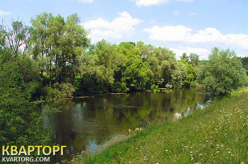Sell house. Житомир, Местечко — photo 2